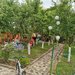 SCHIMB Vila Bragadiru Vechi 144 mp + teren 753 mp cu apartament 3/4 camere